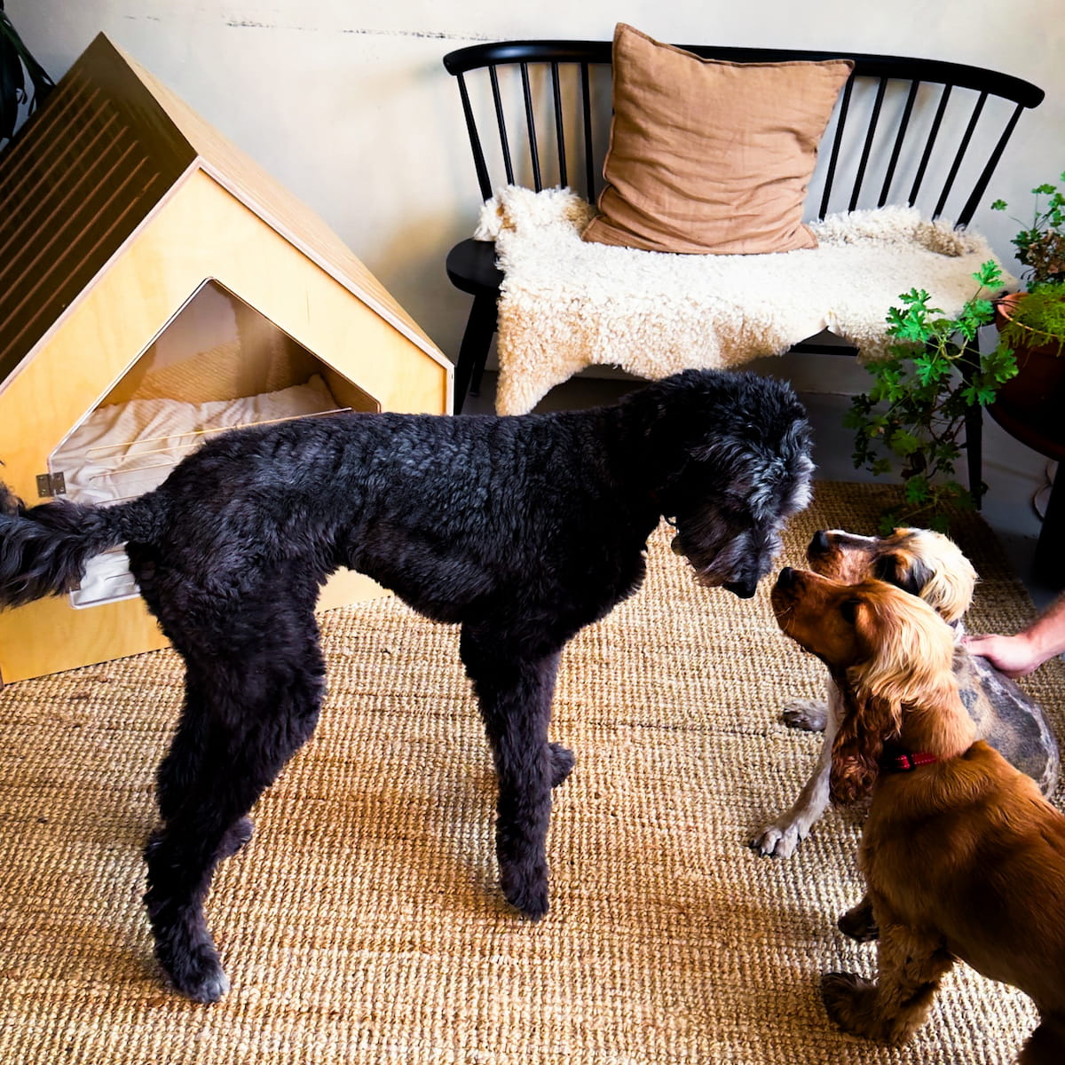 Luxury Dog House 'Classic Natural'