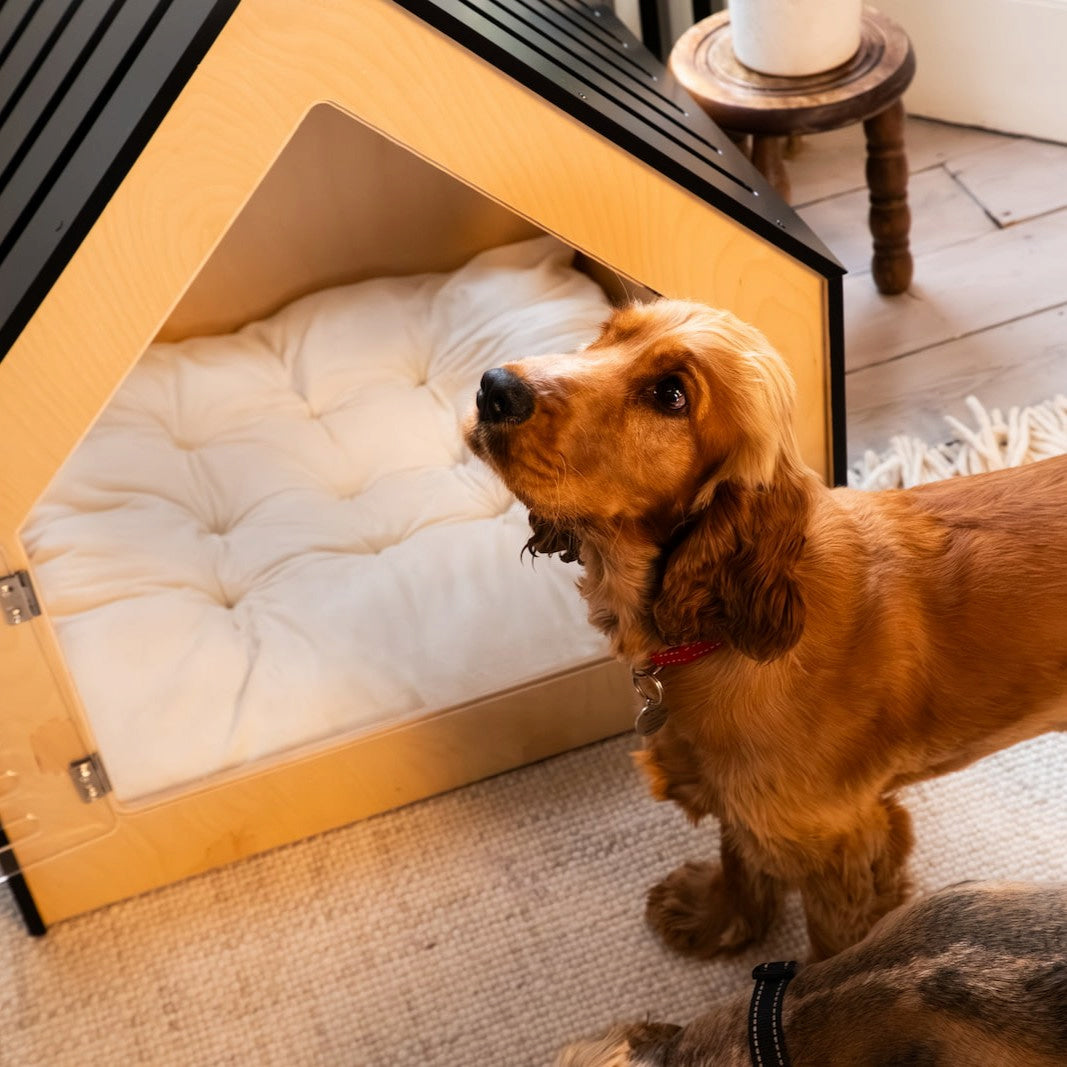 Luxury Dog House 'Classic Black'