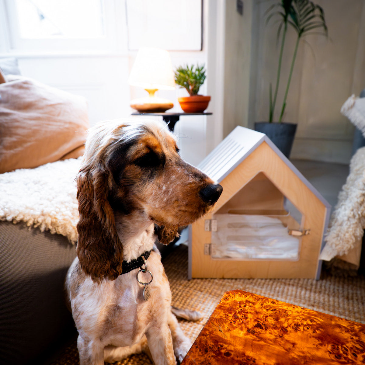 Luxury Dog House 'Classic Stone'